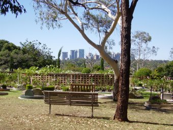 Australian Cemeteries New South Wales Northern Suburbs Memorial   Northsubcem9 