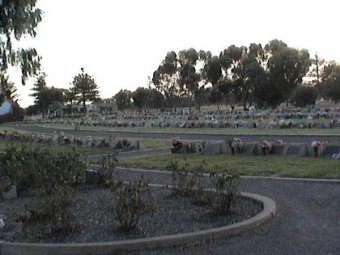 whyalla cemetery data